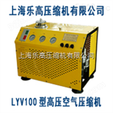 LYX100CNG哪里买汽车检测高压空气压缩机