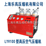 LYV高压泵厂商