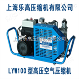 LYW100新年特惠潜水高压压缩机